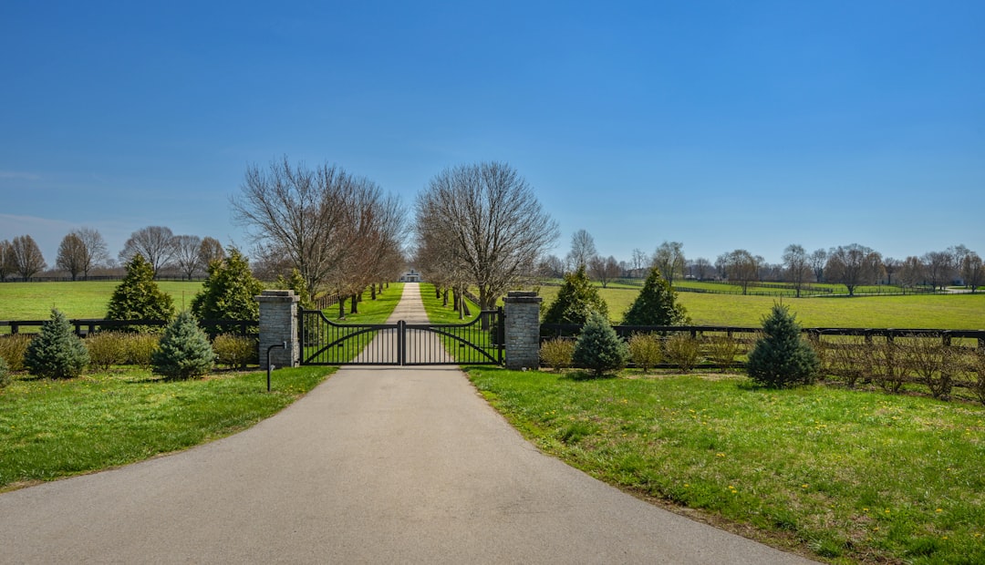 Luxury estate gate with specimen palm flanking and curved driveway approach