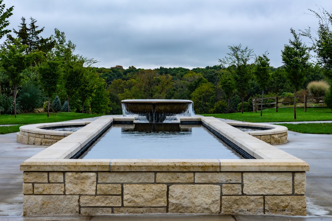 Luxury estate outdoor environment with water feature and tropical landscaping