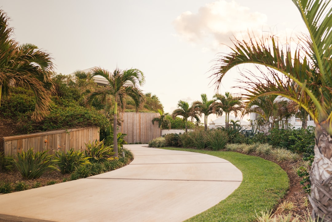Estate entry with formal hedging and uplighting at gate palms along driveway approach