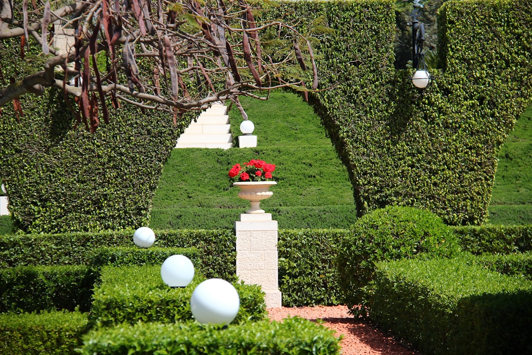 Formal parterre garden with clipped hedges and stone fountain at axis intersection