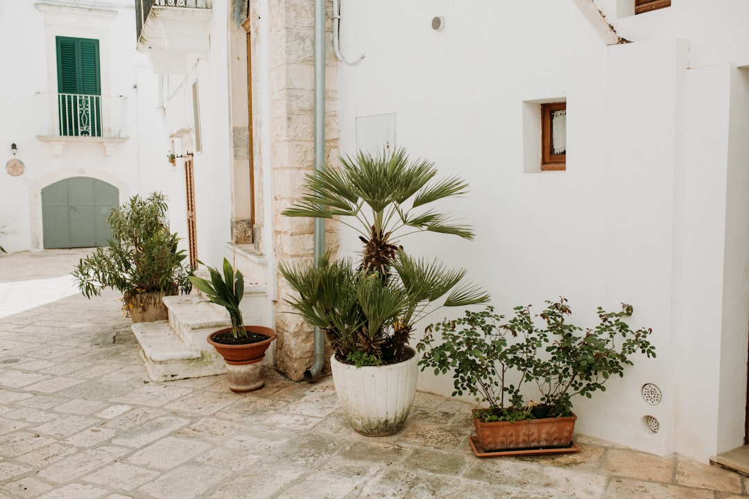 Mediterranean courtyard with stone fountain and formal symmetrical planting