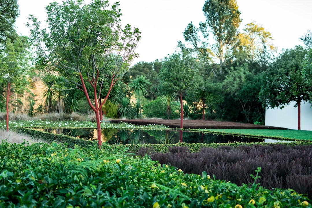 Native Florida estate garden with organic planting and natural stone