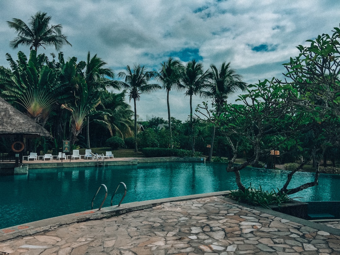 Tropical resort lagoon pool with Bismarck Palms and layered tropical planting