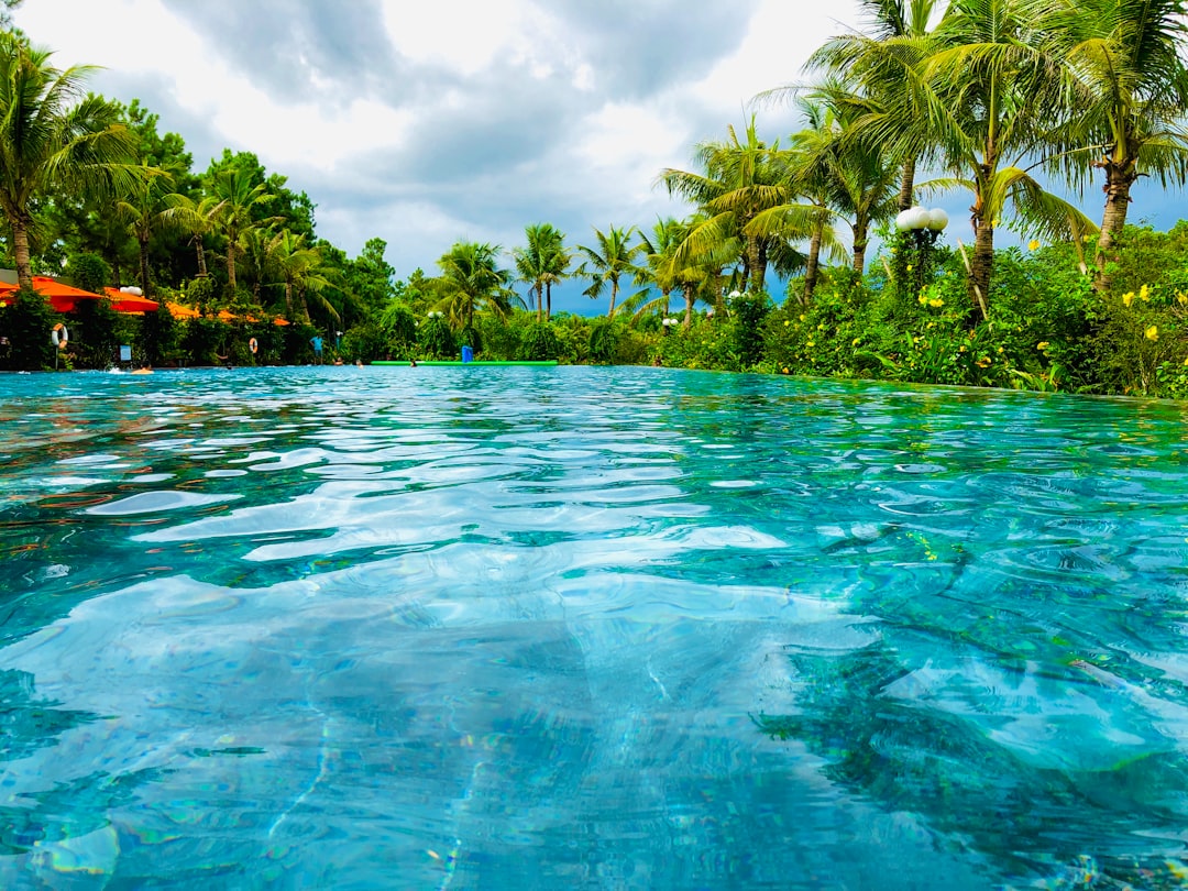 Tropical resort outdoor pool with layered palm planting and warm evening lighting