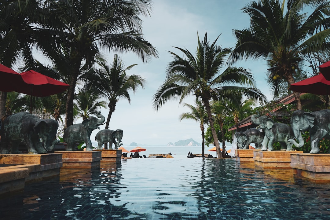Tropical resort estate at evening with ambient uplighting on palms and pool illumination