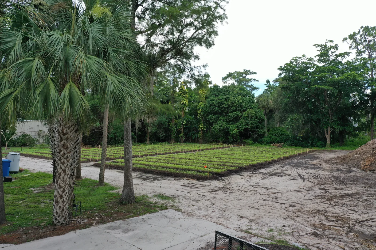 East Naples working garden beds at ground level after grading