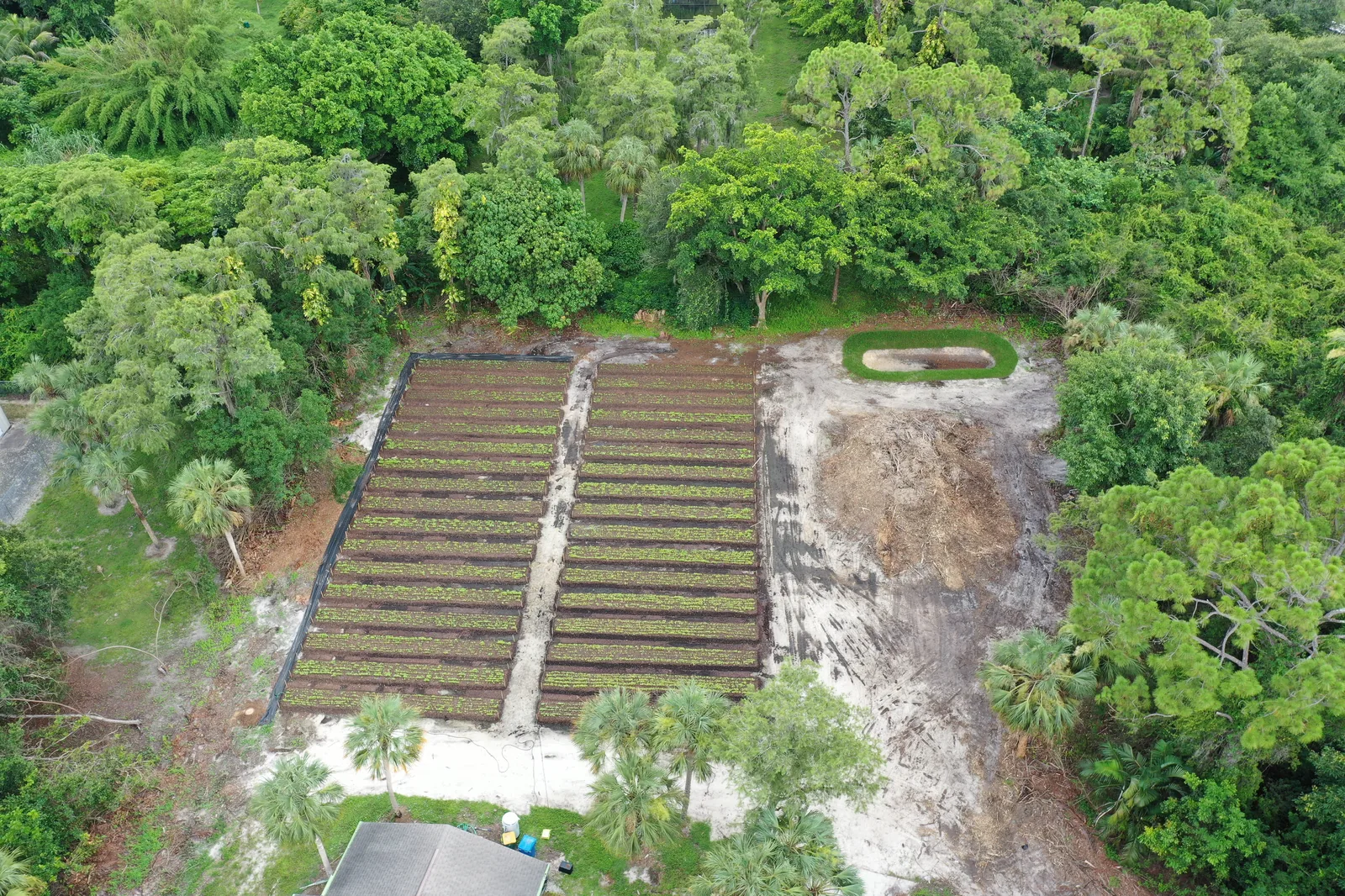 East Naples land grading and site conversion — production rows and retention after lot clearing, Collier County
