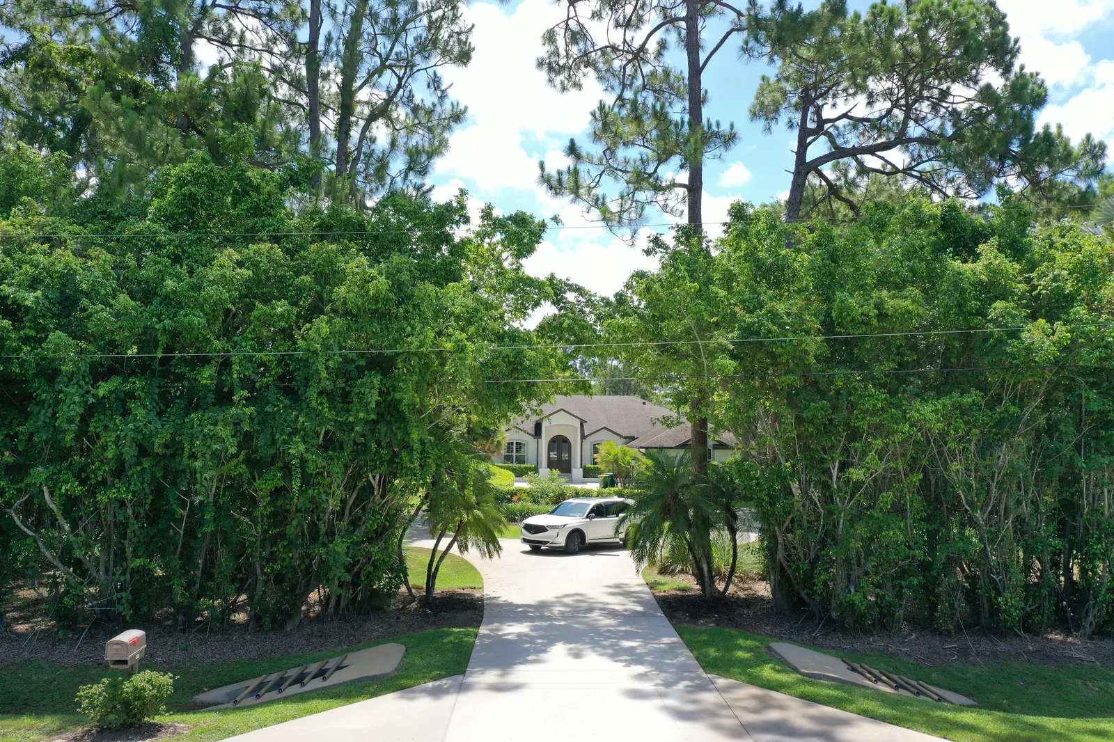 East Naples street-edge vegetation before ROW clearing