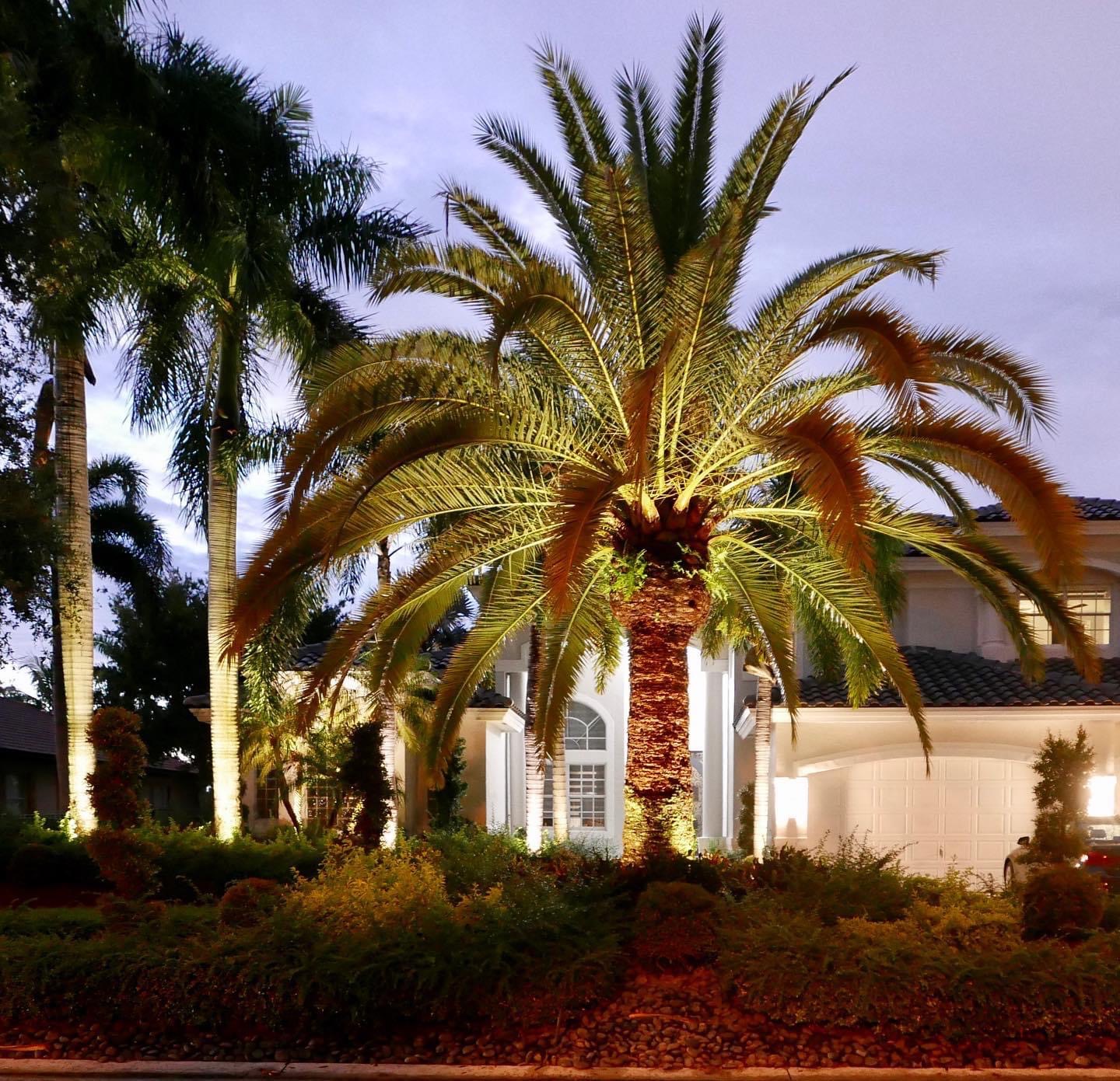 Naples landscape lighting — estate perimeter and entry illumination